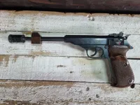 Walter PP .22